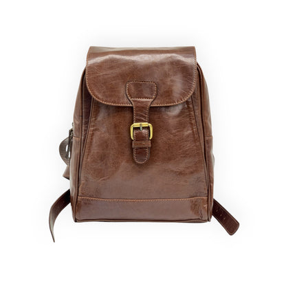 Dark Brown Glossy Leather Backpack (Small)