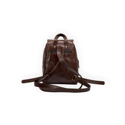 Dark Brown Glossy Leather Backpack (Small)